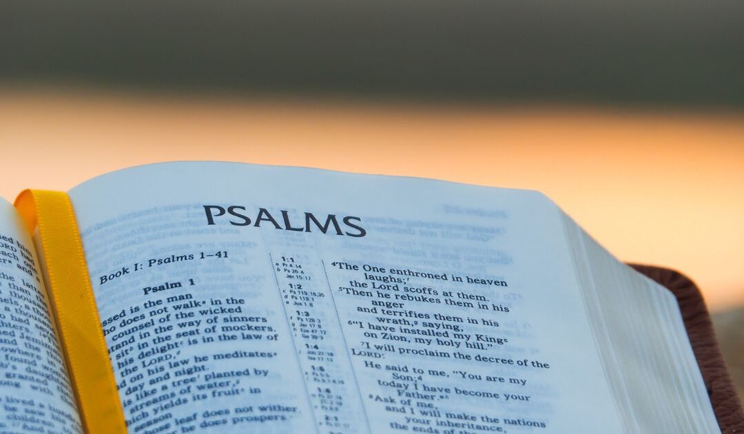 Psalms Bible Study
