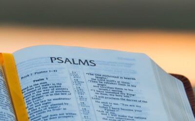 Psalms Bible Study