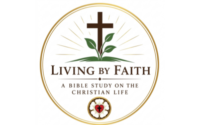 ADULT BIBLE STUDY